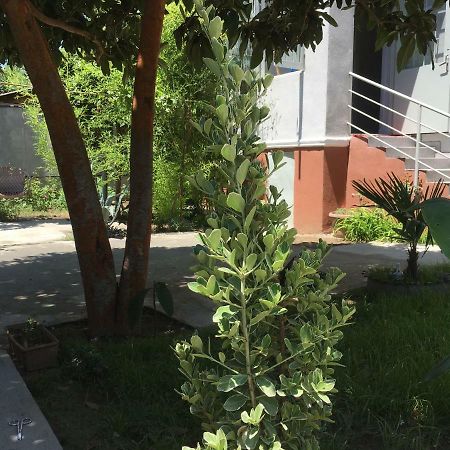 Green House Tiflis Exterior foto